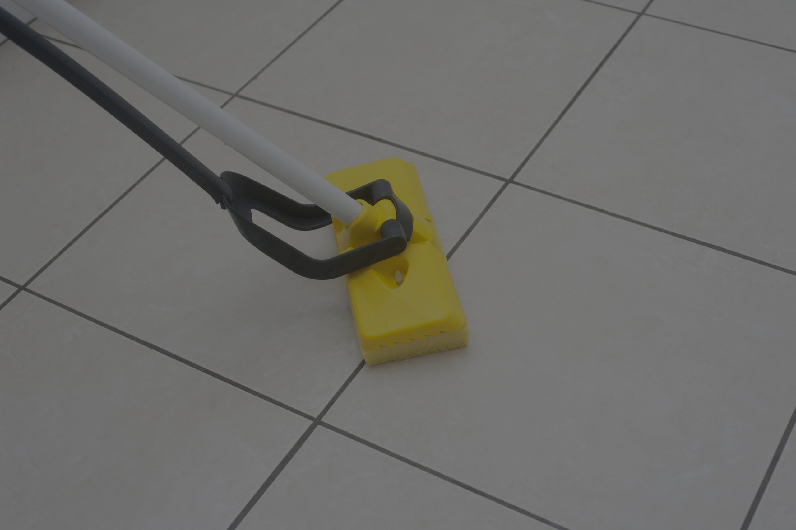 kitchen_mop-overlay-scaled.